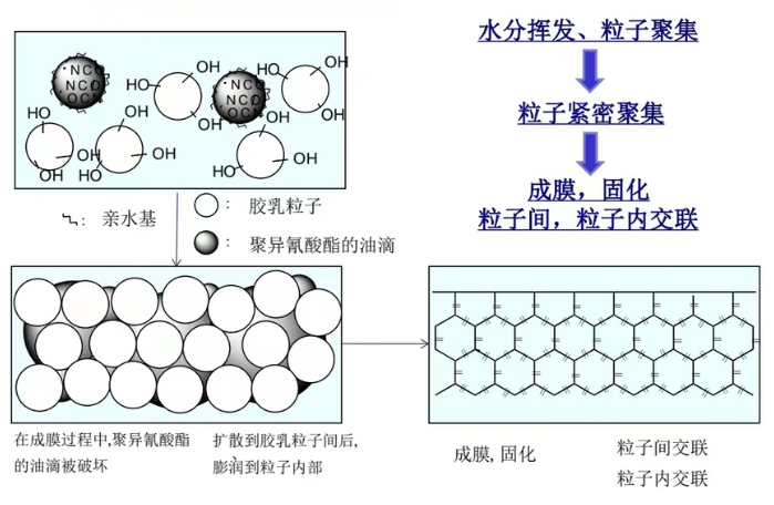 hdi waterborne asahikasei wa21-100